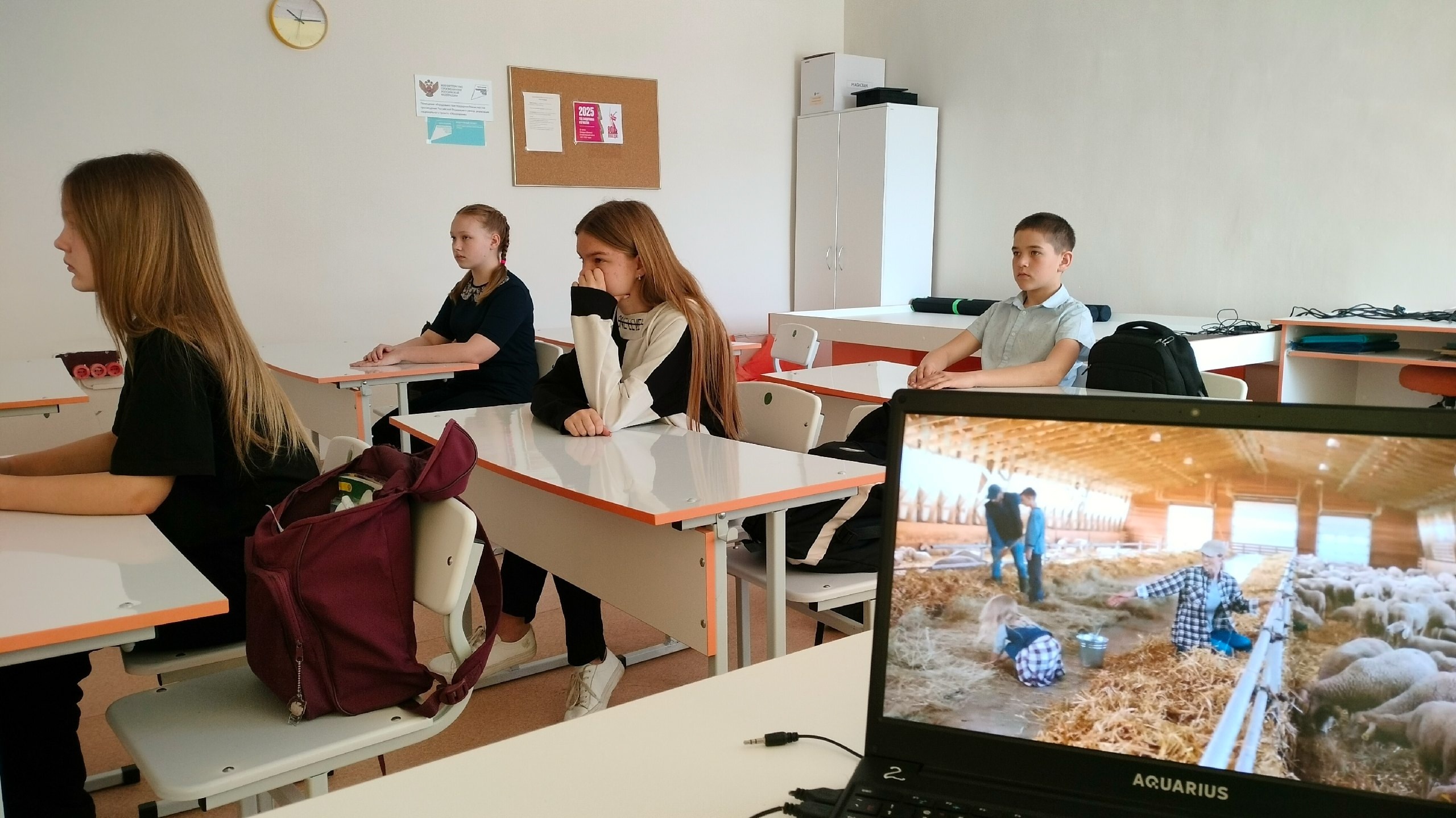 О профориентации.